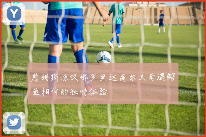 詹姆斯惊叹佛罗里达高尔夫奇遇鳄鱼相伴的独特体验
