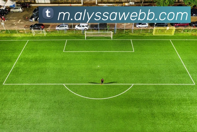 战术分析频道